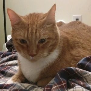 Meet your Posher, Shuan